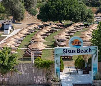 Sisus Marina